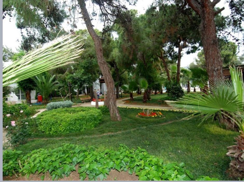 סייד Luca Beach Hotel מראה חיצוני תמונה